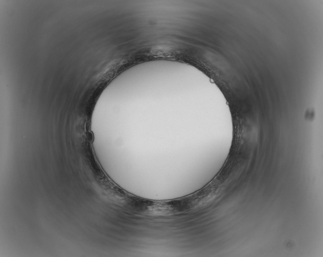 X0000090910603200708201743