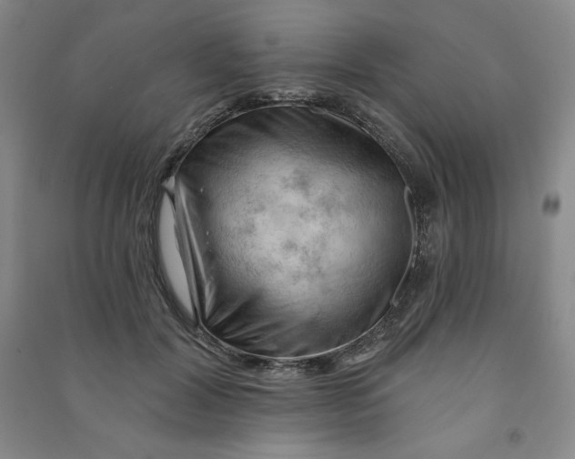 X0000090910604200708201743