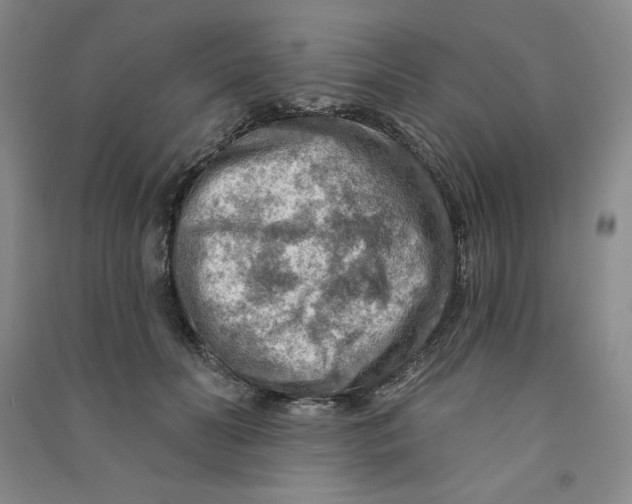 X0000090910606200708201743