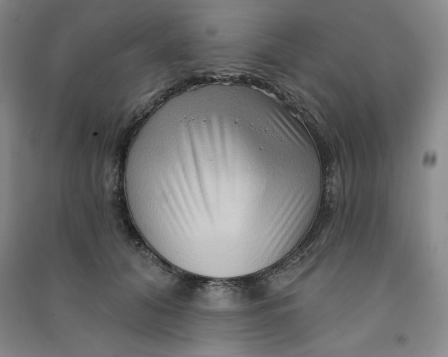 X0000090910608200708201743