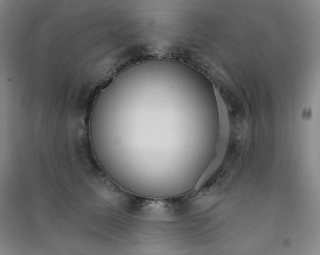 X0000090910611200708201743