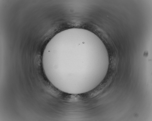 X0000090910612200708201743