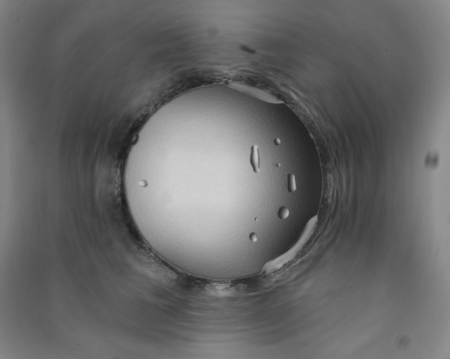 X0000090910613200708201743