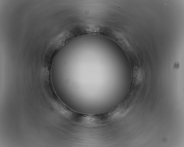 X0000090910614200708201743