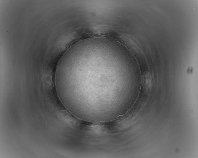 X0000090910615200708201743