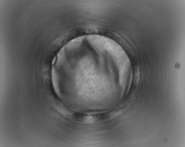 X0000090910616200708201743