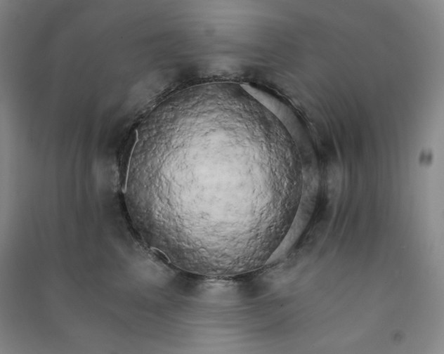 X0000090910617200708201743