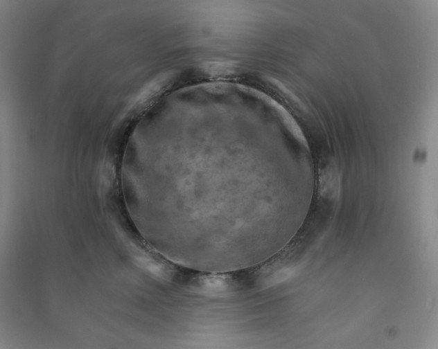 X0000090910618200708201743