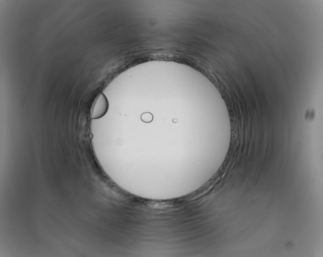 X0000090910619200708201743