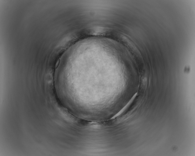 X0000090910620200708201743