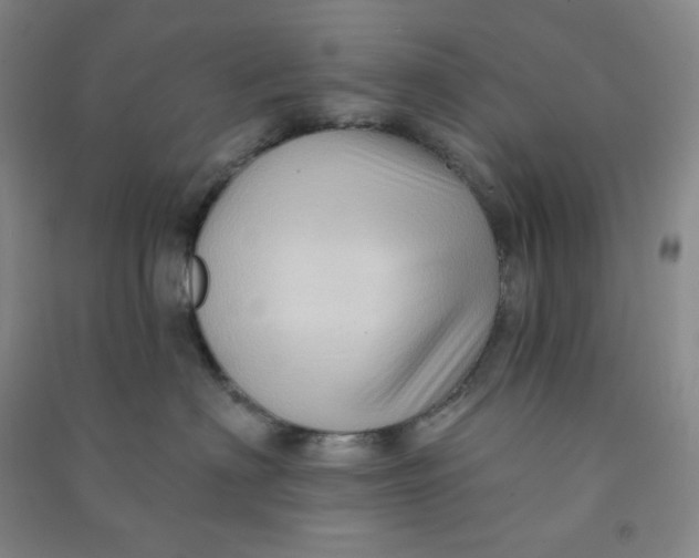 X0000090910622200708201743