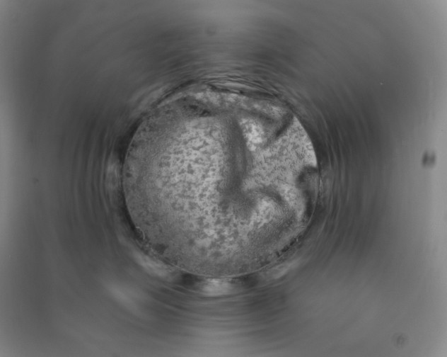 X0000090910623200708201743