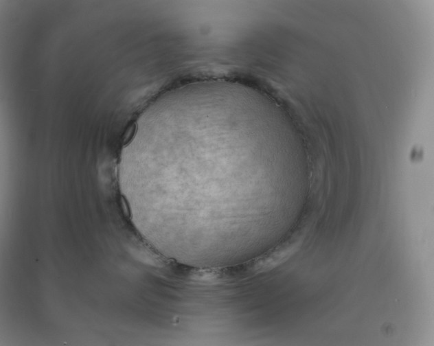 X0000090910624200708201743