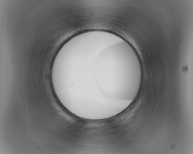 X0000090910625200708201742