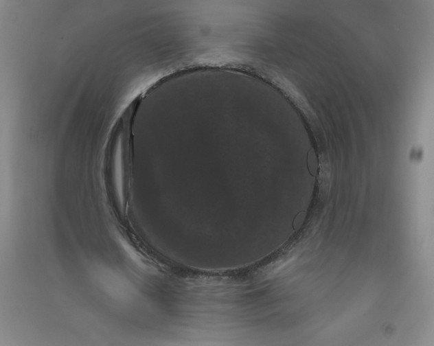 X0000090910626200708201742