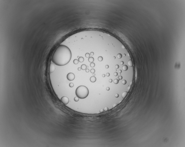 X0000090910627200708201742