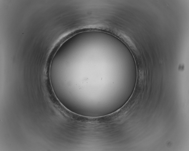 X0000090910628200708201742