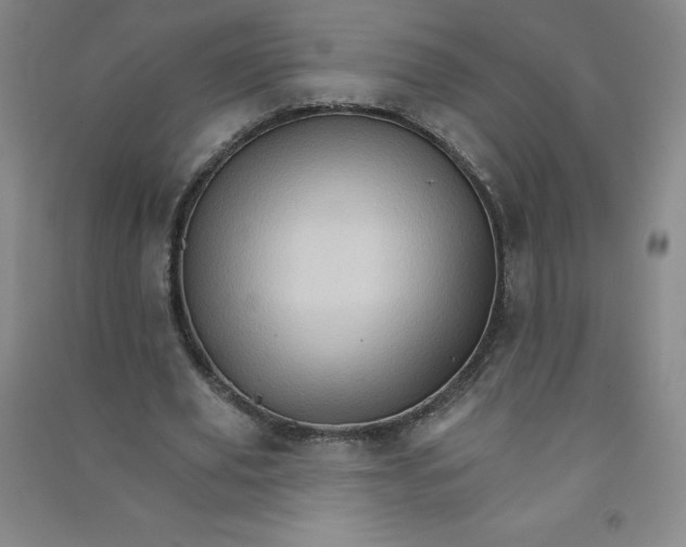 X0000090910629200708201742