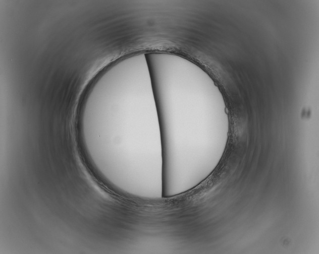 X0000090910630200708201742