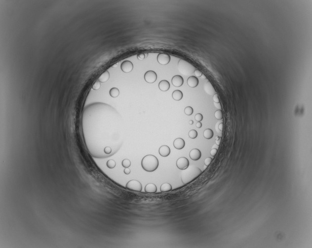 X0000090910631200708201742