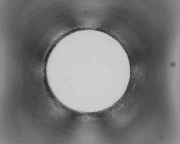 X0000090910632200708201742