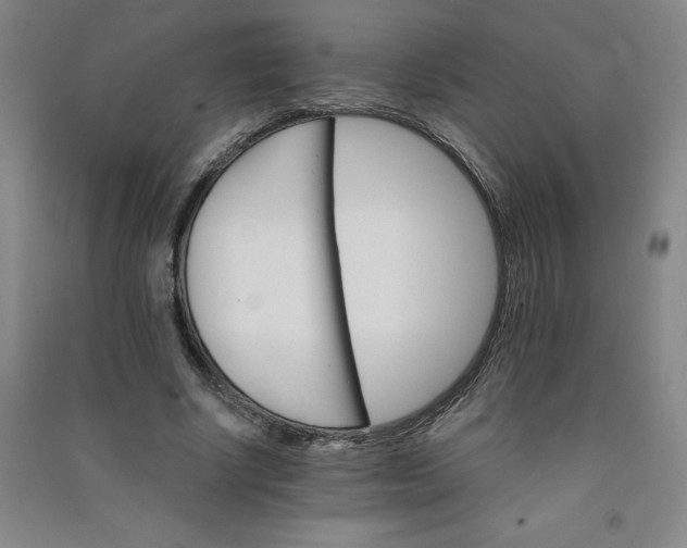 X0000090910634200708201742