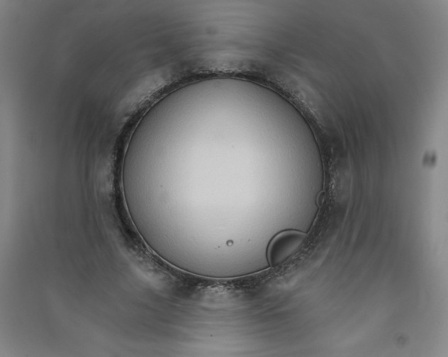 X0000090910635200708201742