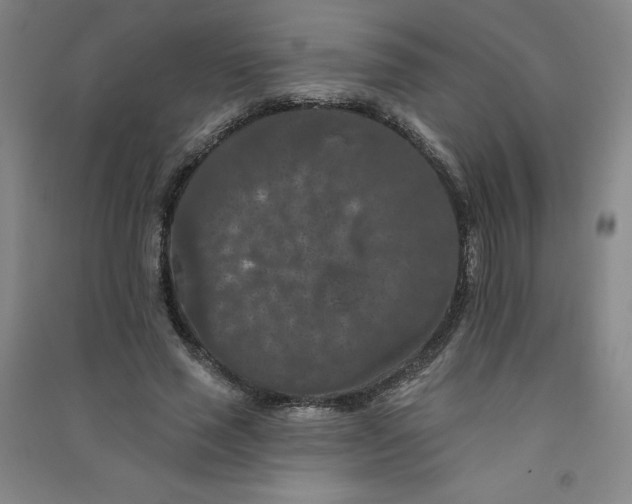 X0000090910637200708201742