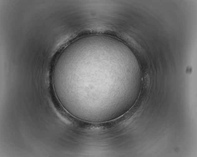 X0000090910638200708201743