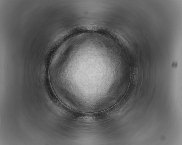 X0000090910639200708201743