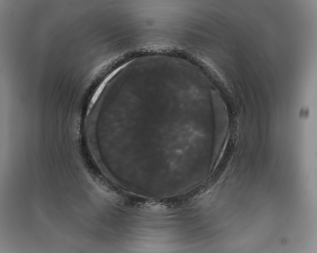 X0000090910640200708201743