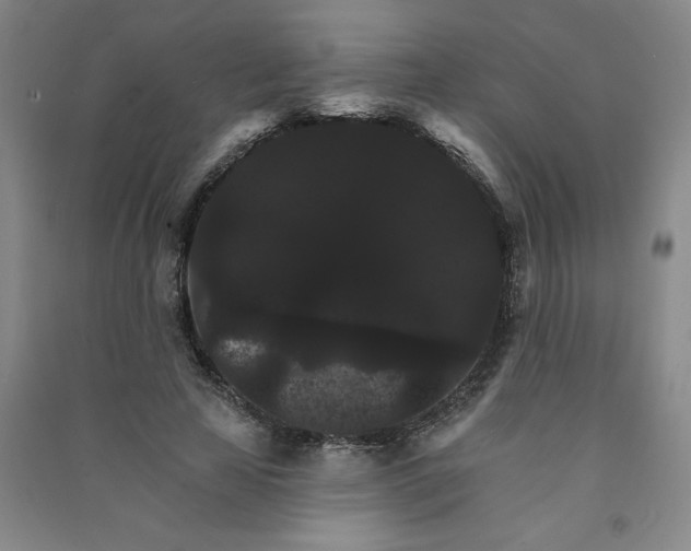 X0000090910641200708201743