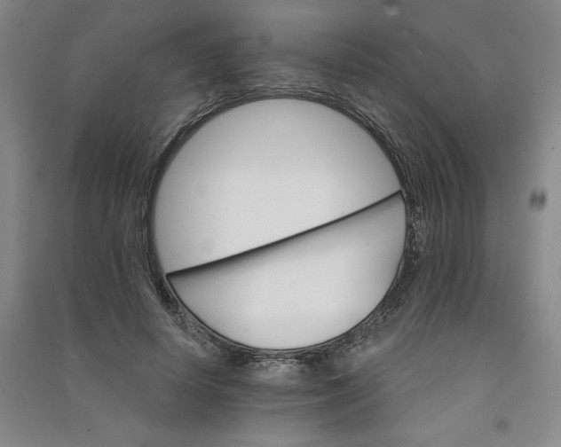 X0000090910642200708201743