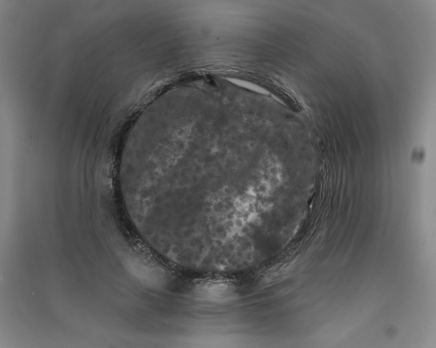 X0000090910643200708201743