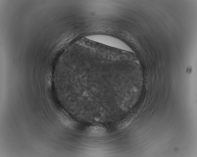 X0000090910644200708201743