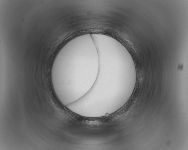 X0000090910645200708201743