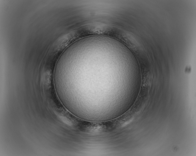 X0000090910646200708201743