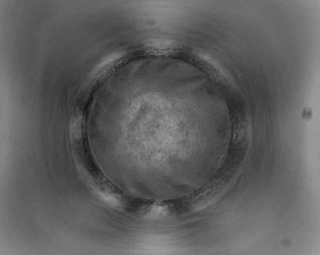 X0000090910647200708201743