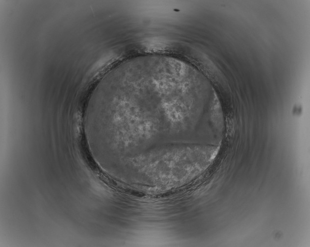 X0000090910648200708201743