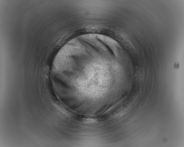 X0000090910649200708201743