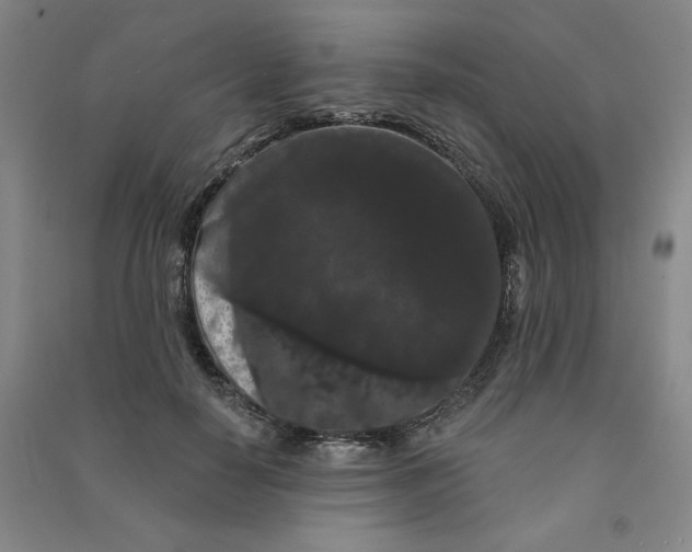 X0000090910650200708201743