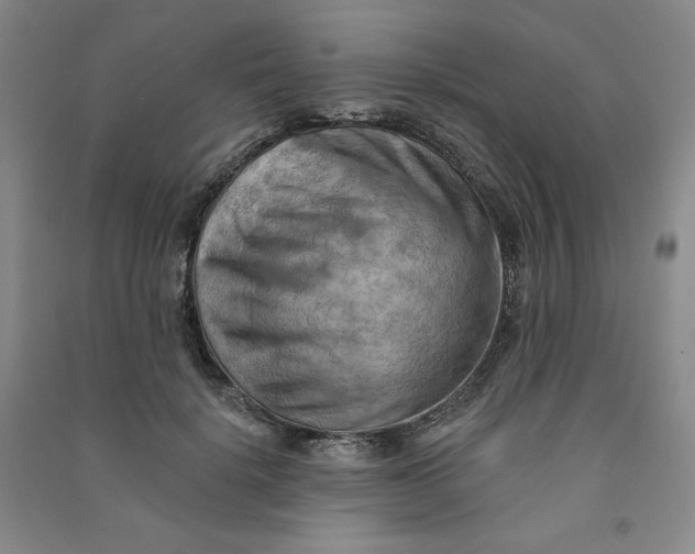 X0000090910652200708201743