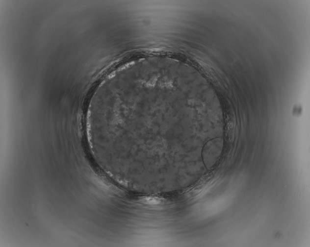 X0000090910654200708201743