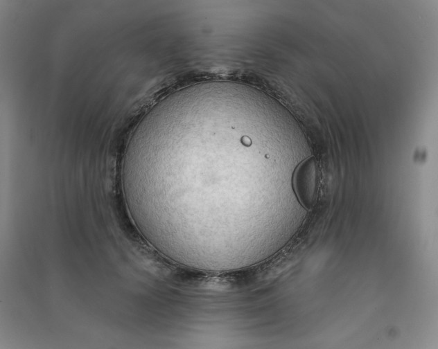 X0000090910656200708201743