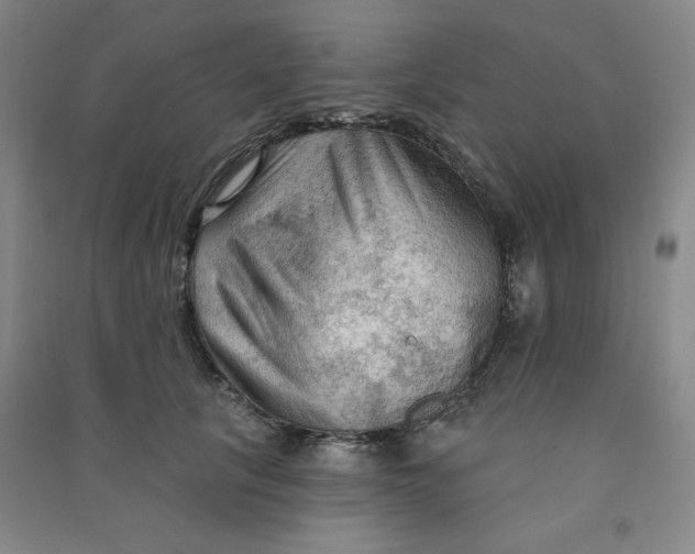 X0000090910657200708201743