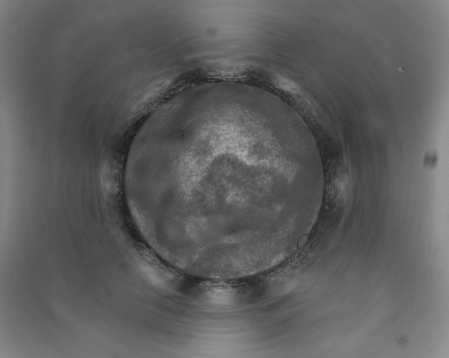 X0000090910658200708201743