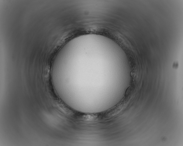 X0000090910660200708201743