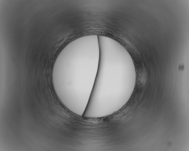 X0000090910661200708201743