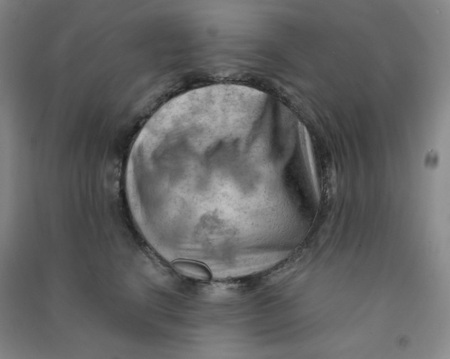 X0000090910664200708201743