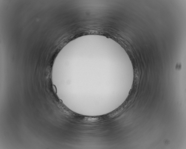 X0000090910665200708201743